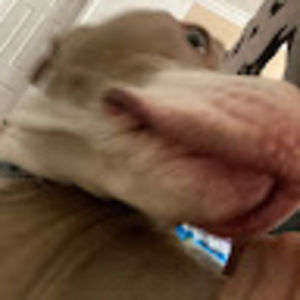 Meet your Posher, Isaiah